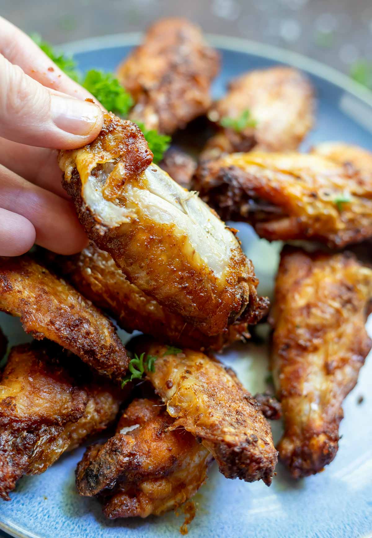 AIR FRYER PAPRIKA CHICKEN WINGS!!! + Tasty Air Fryer Recipes