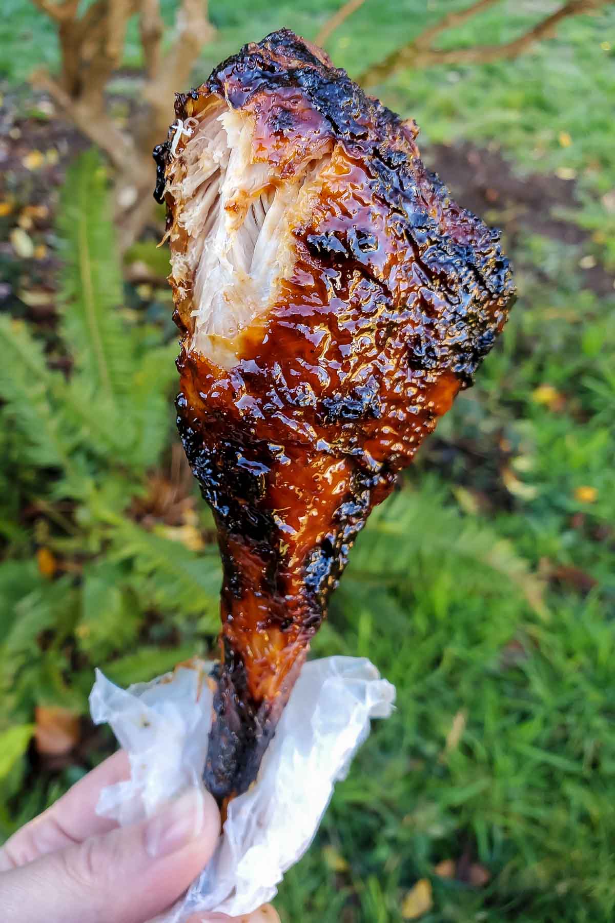 hand holding turkey leg with bite taken out
